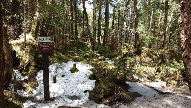 Takamiishi-小海町必去景点