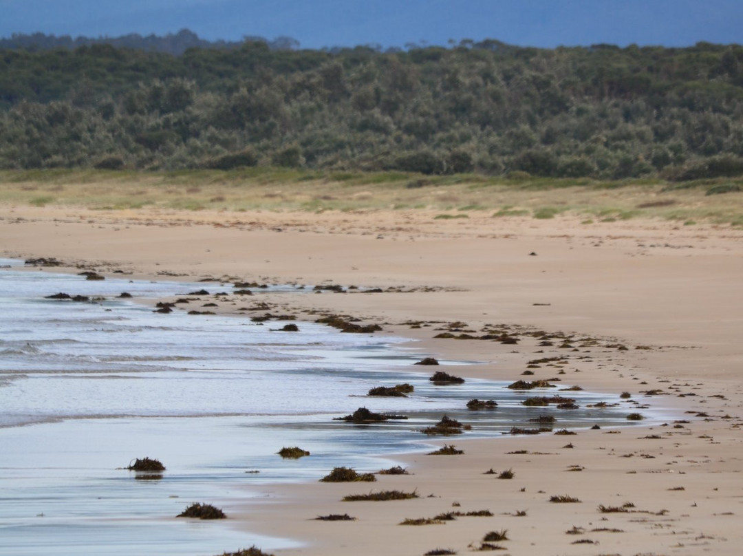 Broulee Beach景点图片