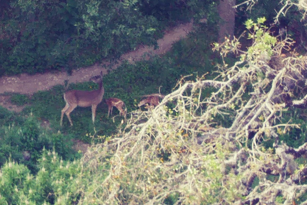 Phil Hardberger Park-圣安东尼奥市必去景点