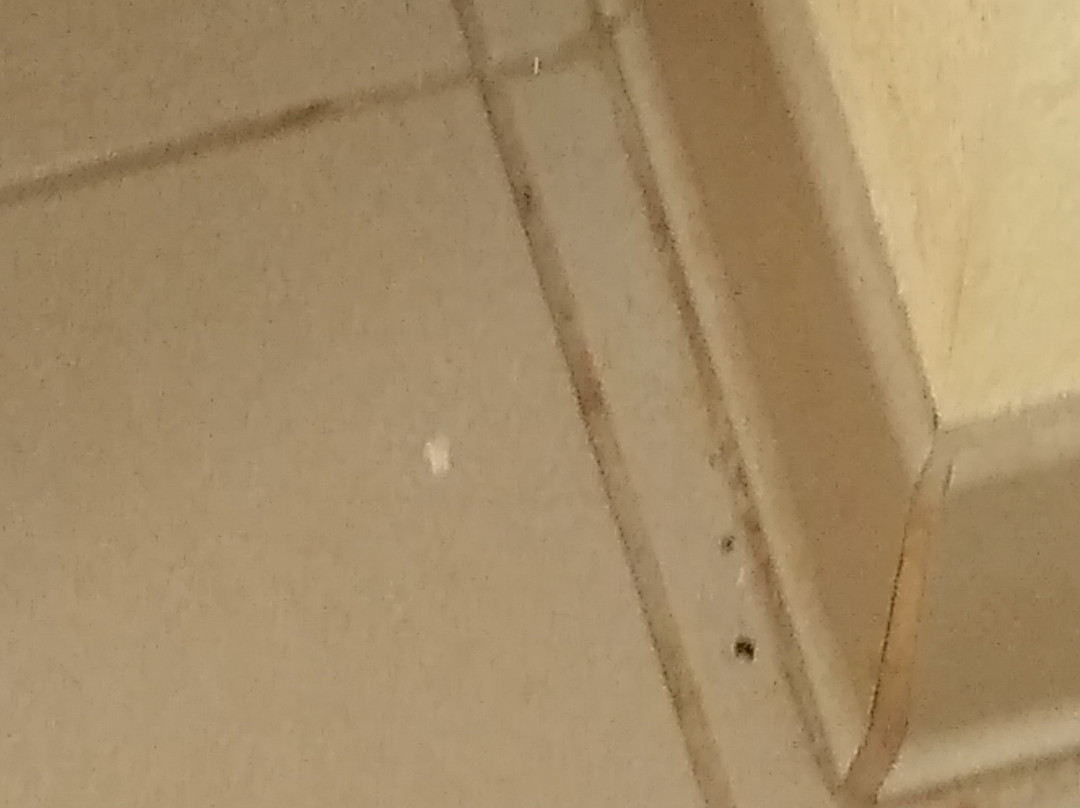 Howard Johnson by Wyndham Spartanburg - Expo Center主图