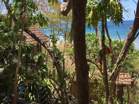 Costa Dulce Beach Hotel & Retreat Center主图