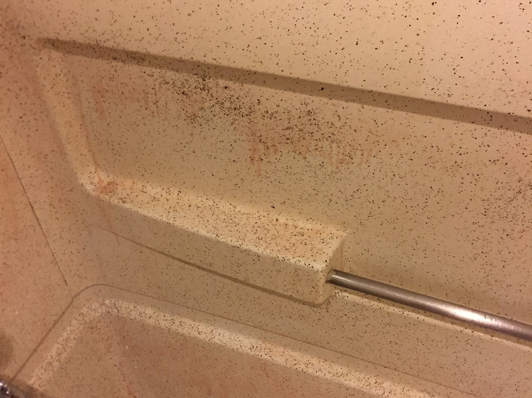 Motel 6 Blue Springs