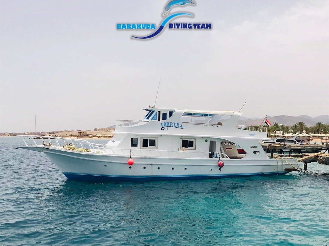 Barakuda Diving Center Safaga-Safaga必去景点