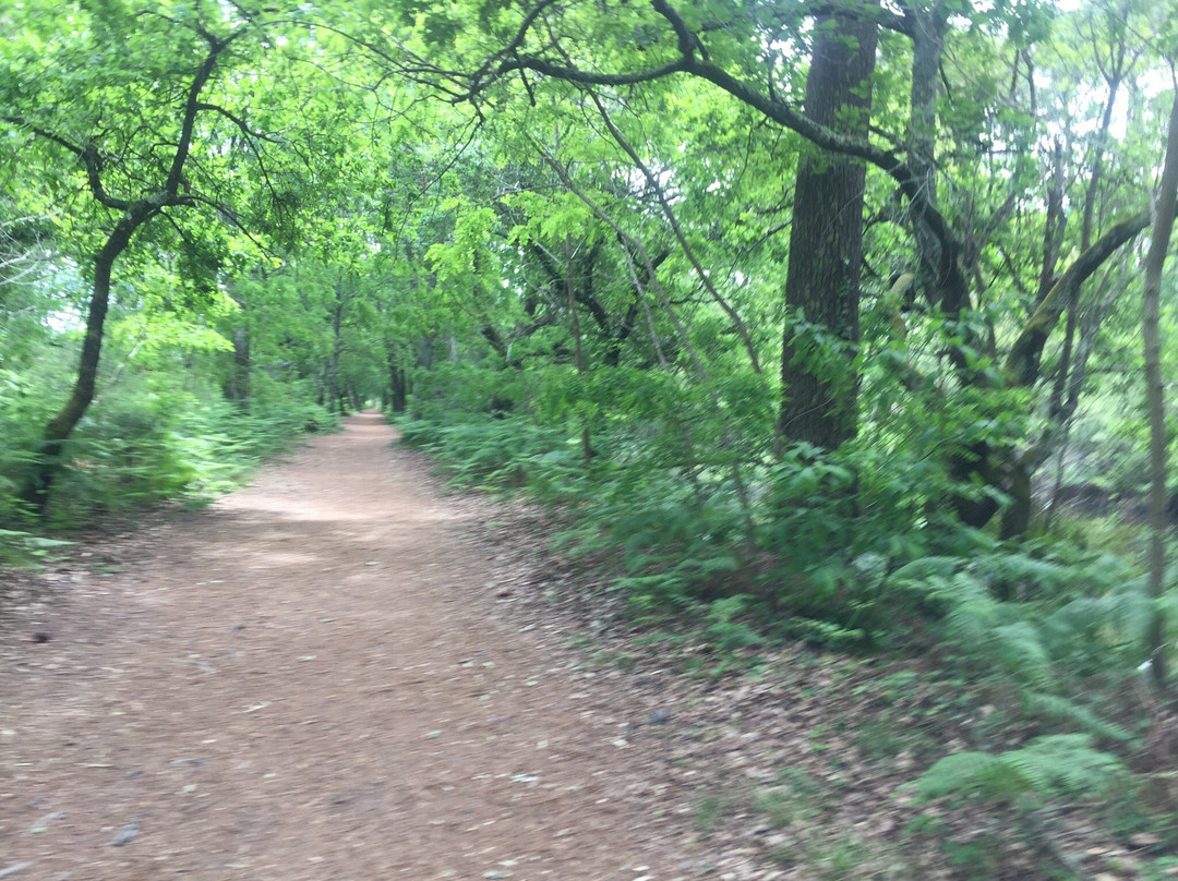 Parc de la Chêneraie-Gujan-Mestras必去景点
