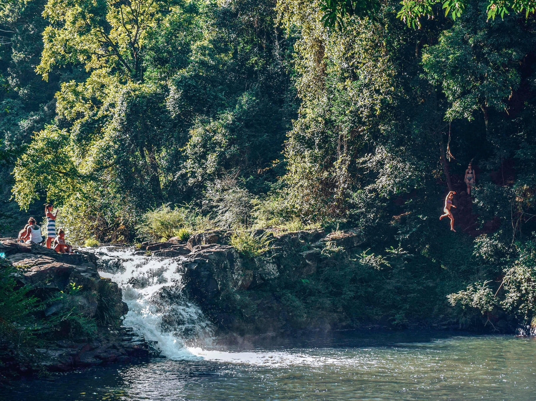 Tarzan Tours Noosa景点图片