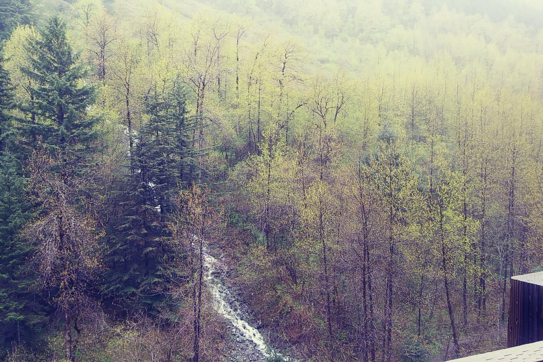 Gold Creek Flume Trail景点图片