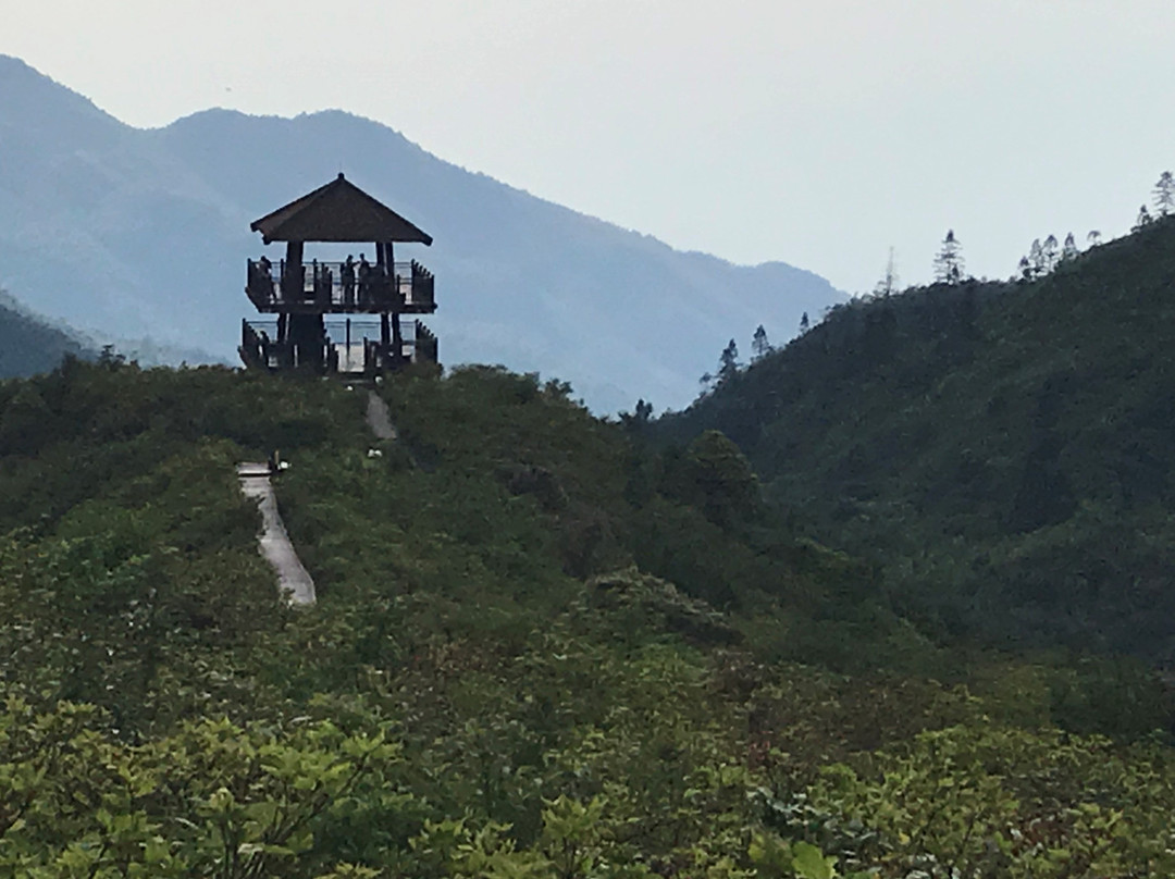大围山国家森林公园景点图片