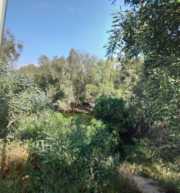 Part HaAgamim-Rishon Lezion必去景点