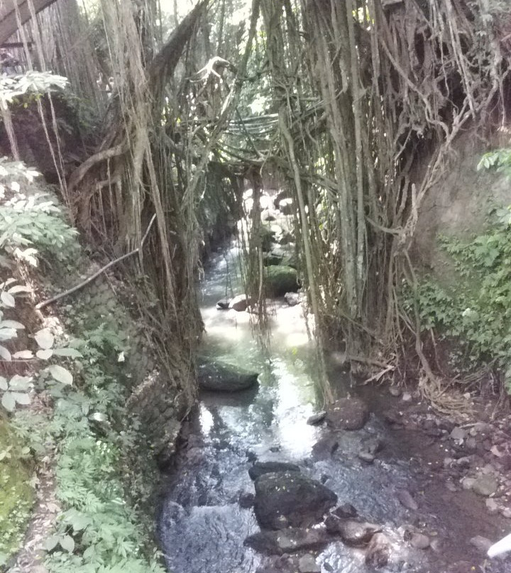 Wisata Bali Trip-沙努尔必去景点