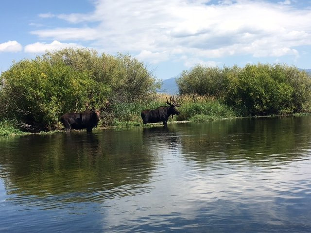 Kasper's Kountryside Inn主图