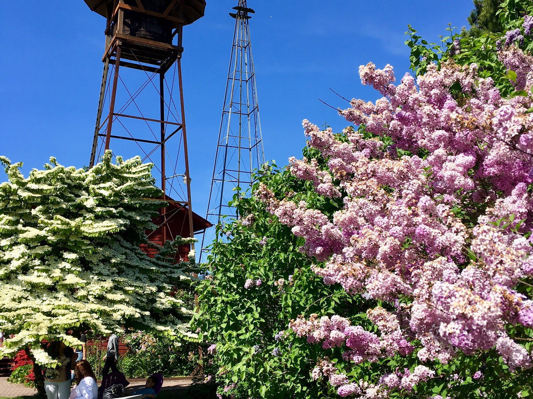 Hulda Klager Lilac Gardens景点图片