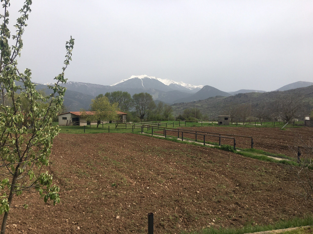 Orias Guesthouse & Farm主图