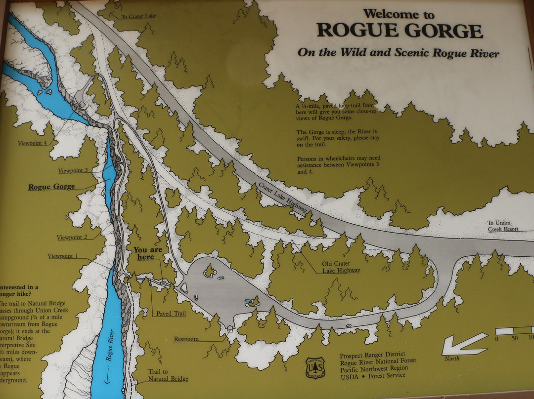 Rogue River Gorge Viewpoint景点图片