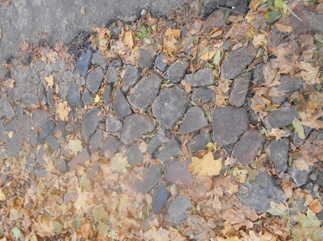 Voikova St.-Smolensk必去景点