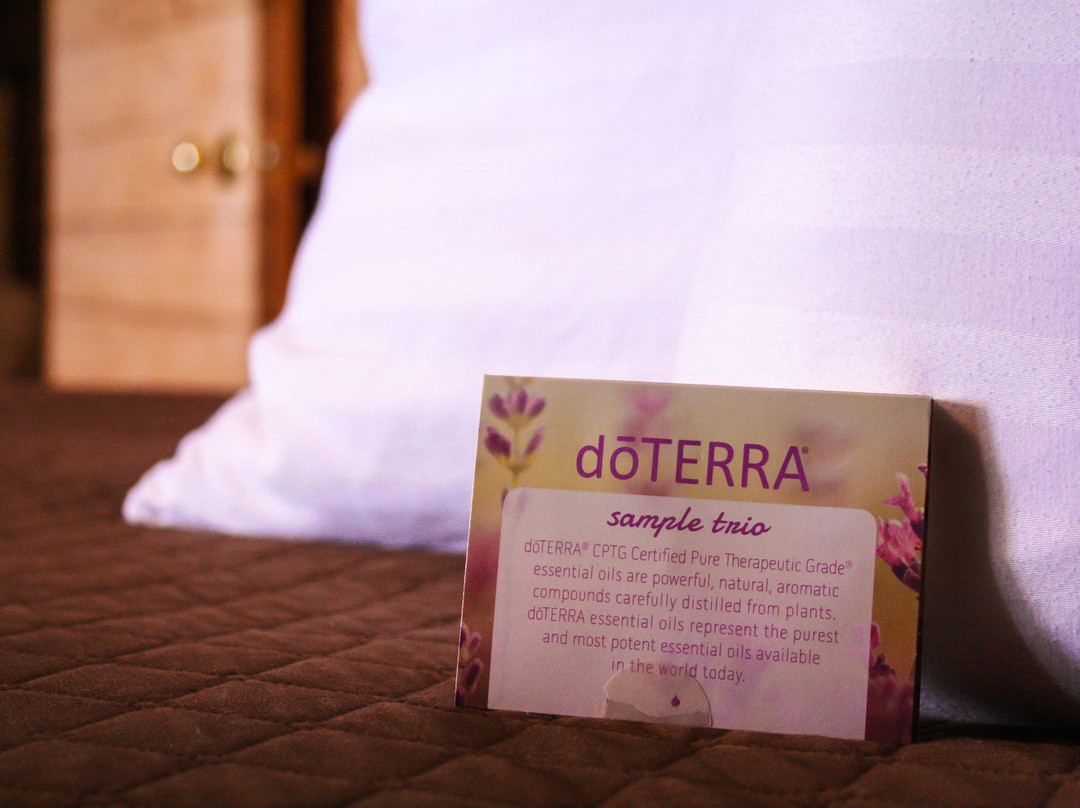 Judith Mountain Lodge主图