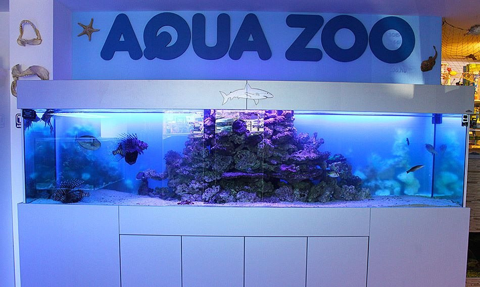 Coral Aqua Zoo-修普伦必去景点