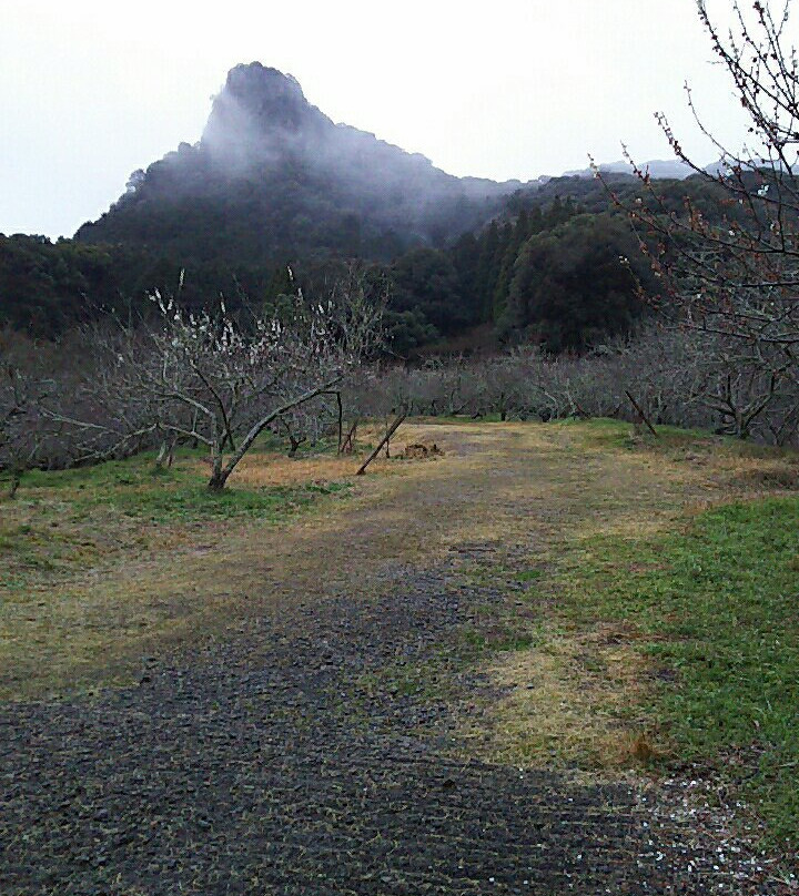 Mifunegaoka Bairin-武雄市必去景点