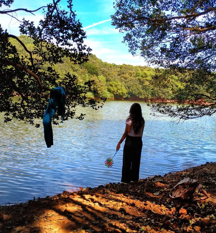 Charlotte Lake景点图片