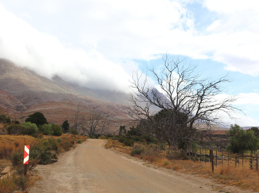 Cloetes Pass-Herbertsdale必去景点