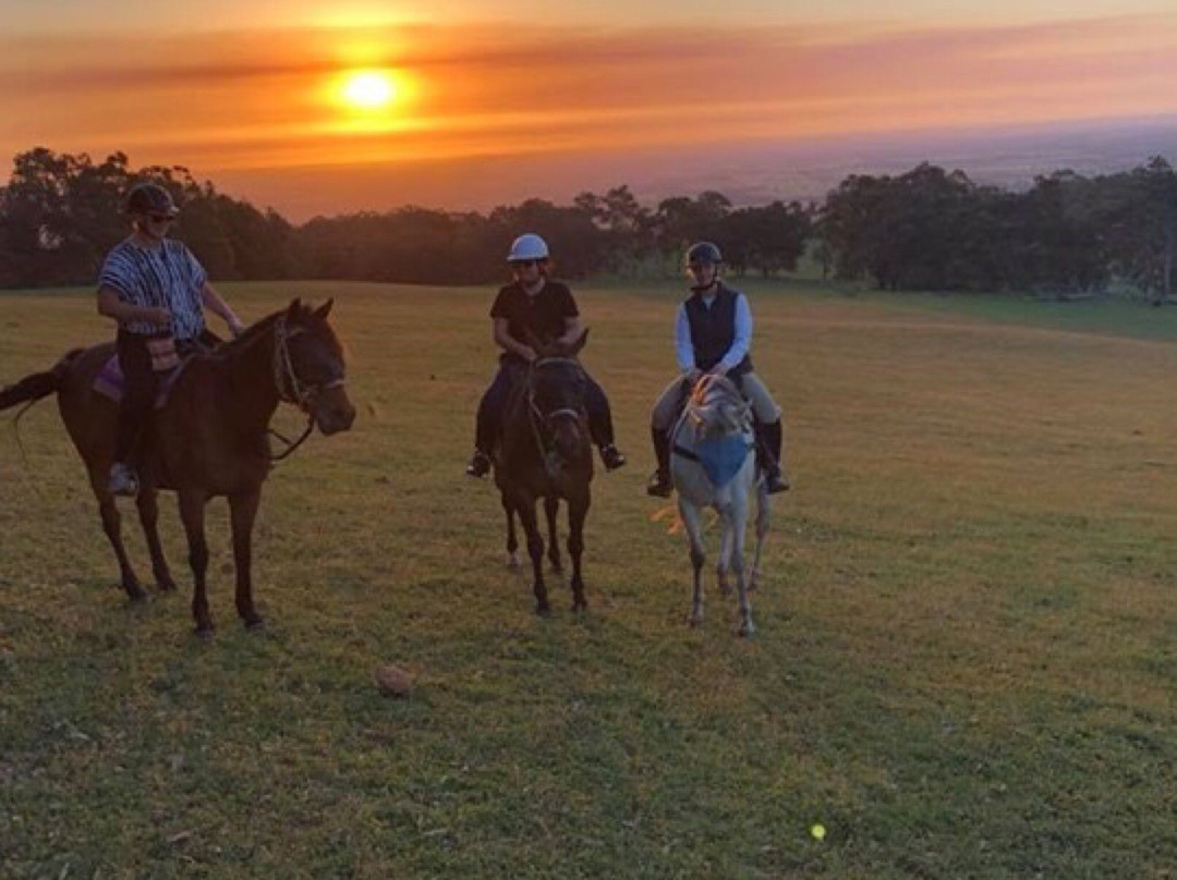 Jarrahdale Equestrian Centre景点图片