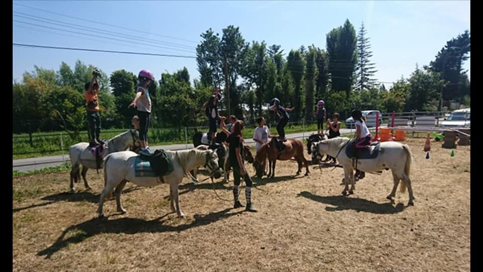 Le Ty Haras-Noyal-Chatillon-sur-Seiche必去景点