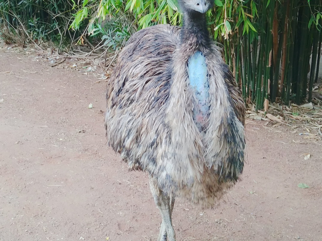 El Nido Aviario景点图片