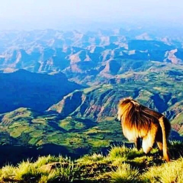 Ethio Simien Tour-贡德尔必去景点