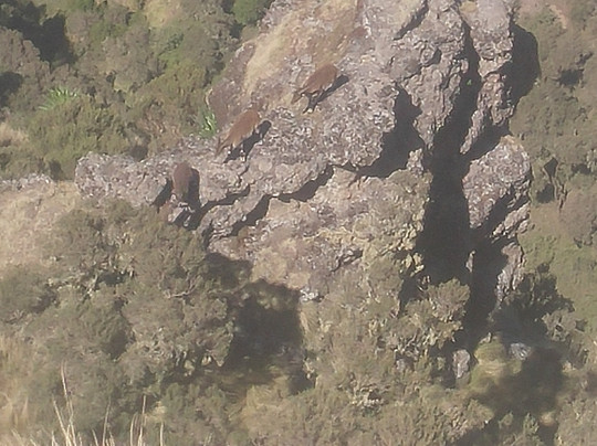 Finot Tour Ethiopia-亚的斯亚贝巴必去景点