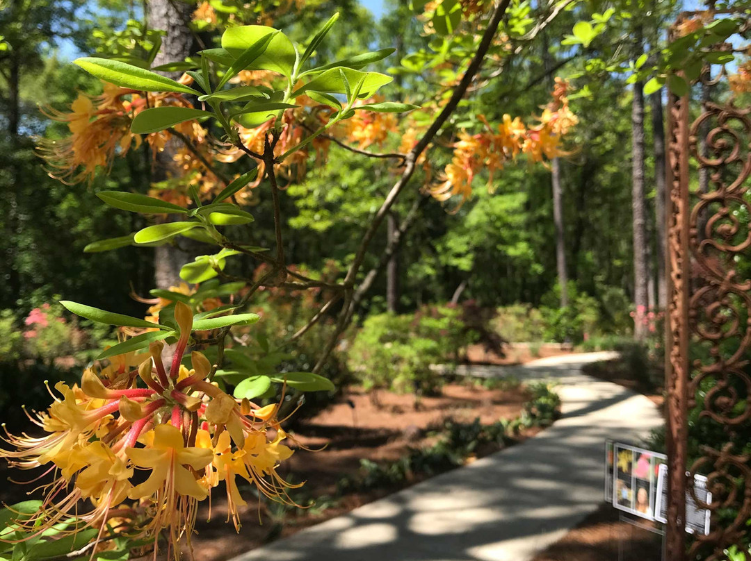 Mobile Botanical Gardens-莫比尔必去景点