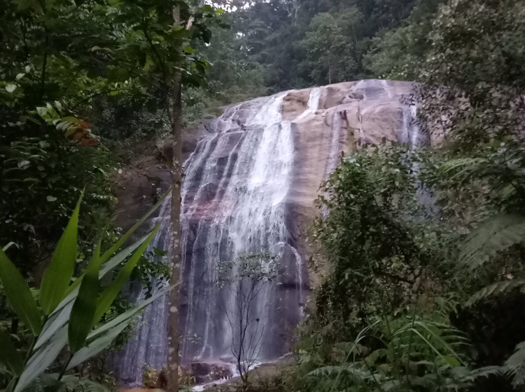 Taman Negeri Kenaboi景点图片