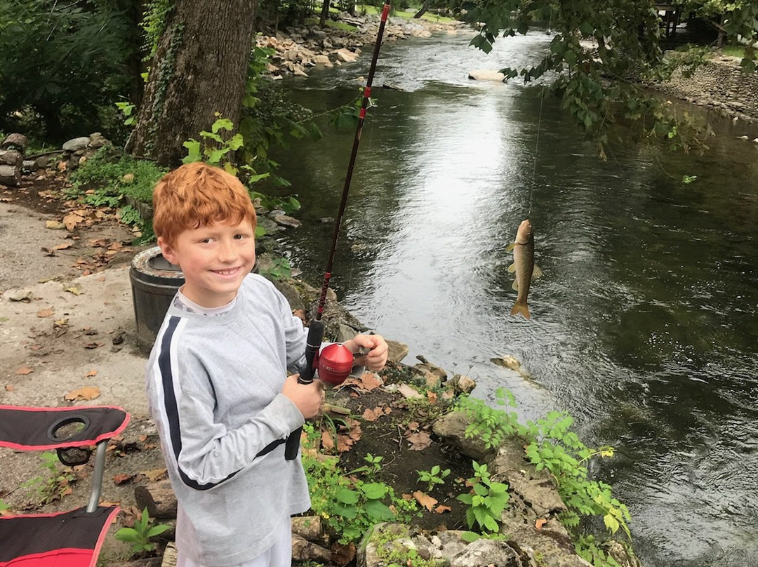 Dock's Motel & Cabins主图