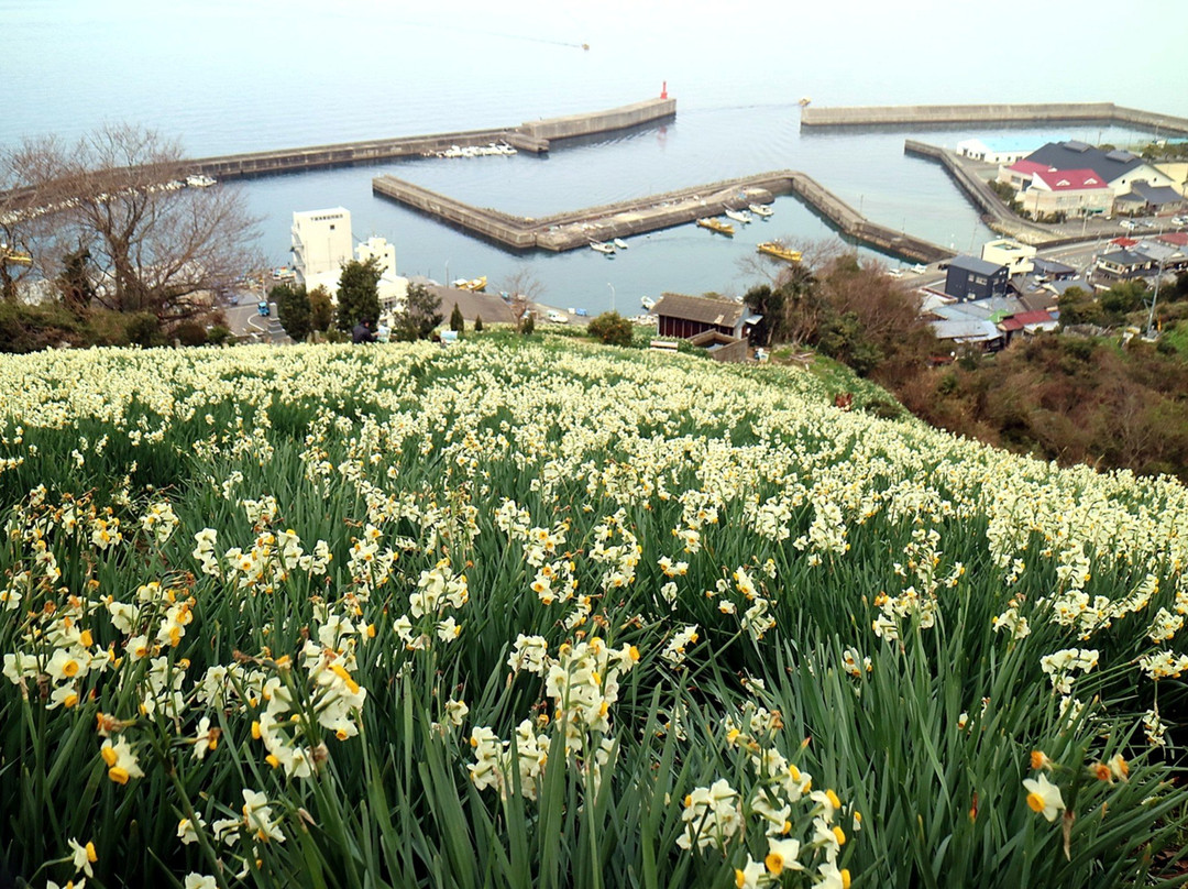 Nihon Suisen Hanakaido景点图片