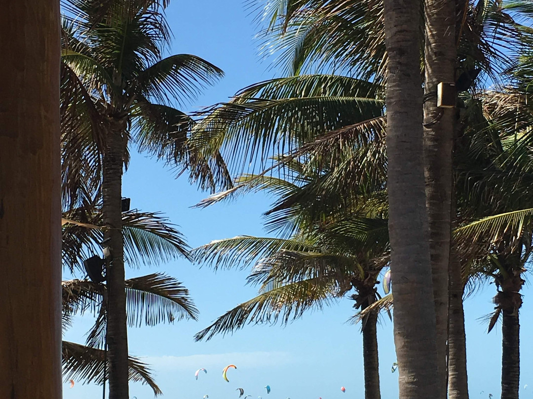 Vila Coqueiros主图