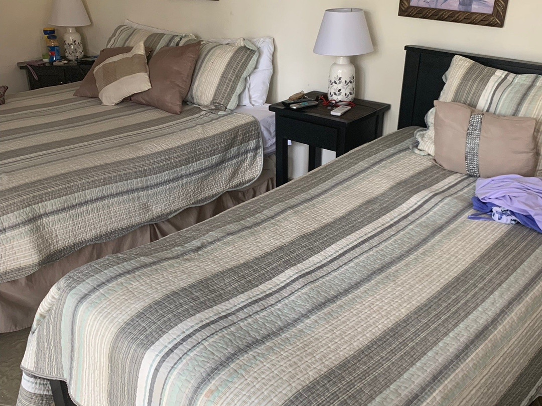 Hibiscus House Bed & Breakfast主图