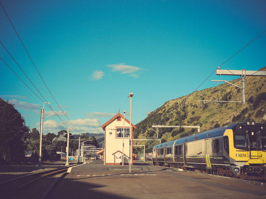 Paekakariki旅游攻略图片