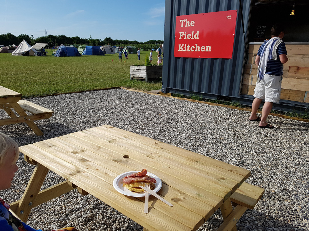 Fallow Fields Camping - Selson Farm