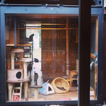 Teshima Ryokan-浴室