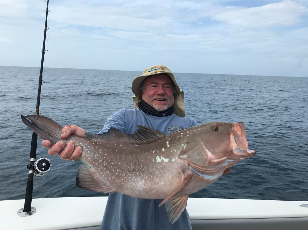 Offshore Boca Grande-Placida必去景点