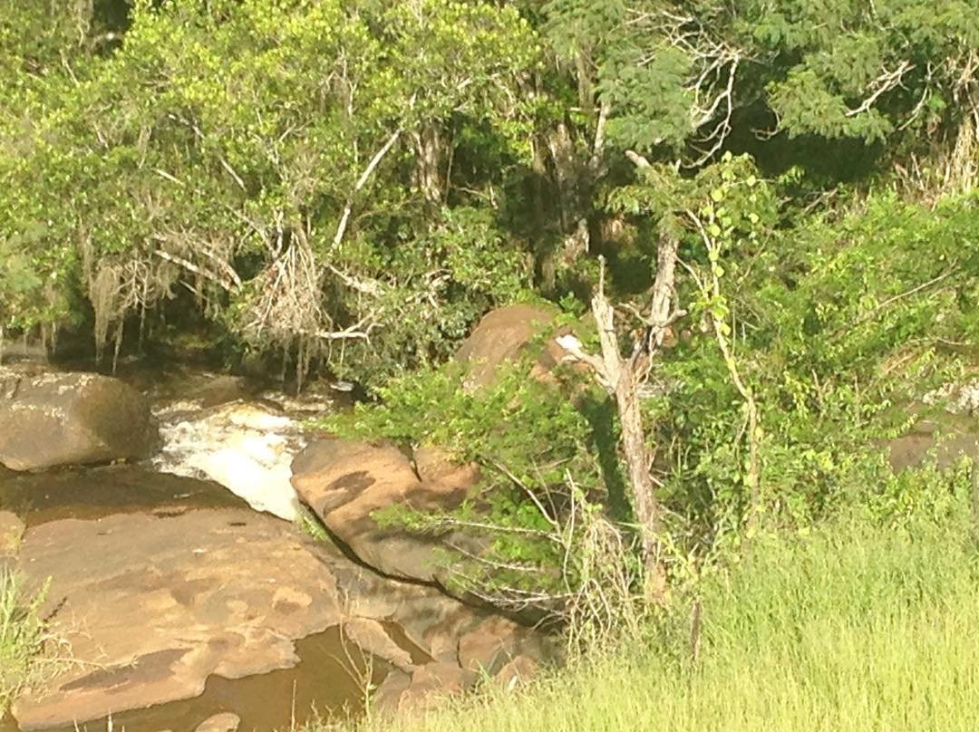 Cachoeira do Putim景点图片