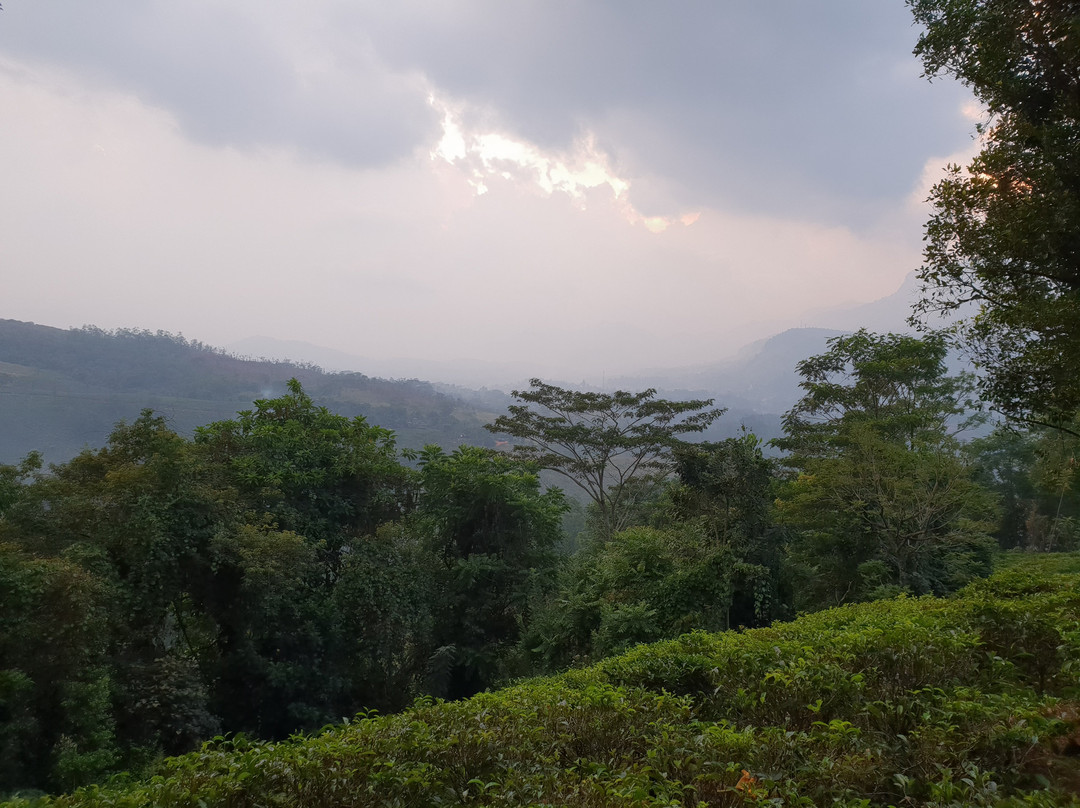 Upper Donside Planter's Bungalow主图