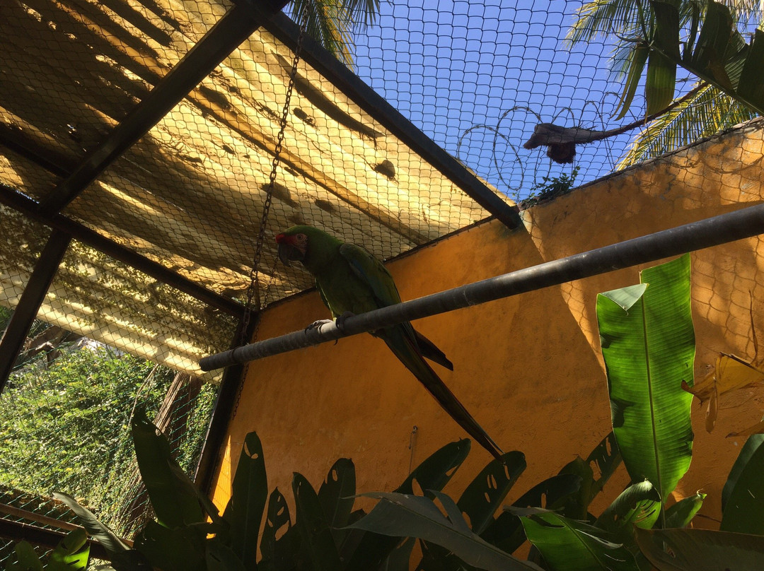 Aticama Bed & Breakfast主图