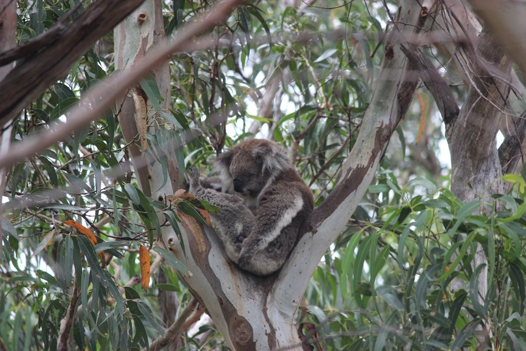 Points South By The Sea主图