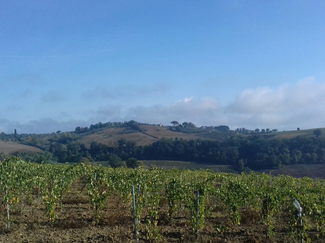 Via Francigena Tappa 31 Gambassi Terme - San Gimignano景点图片