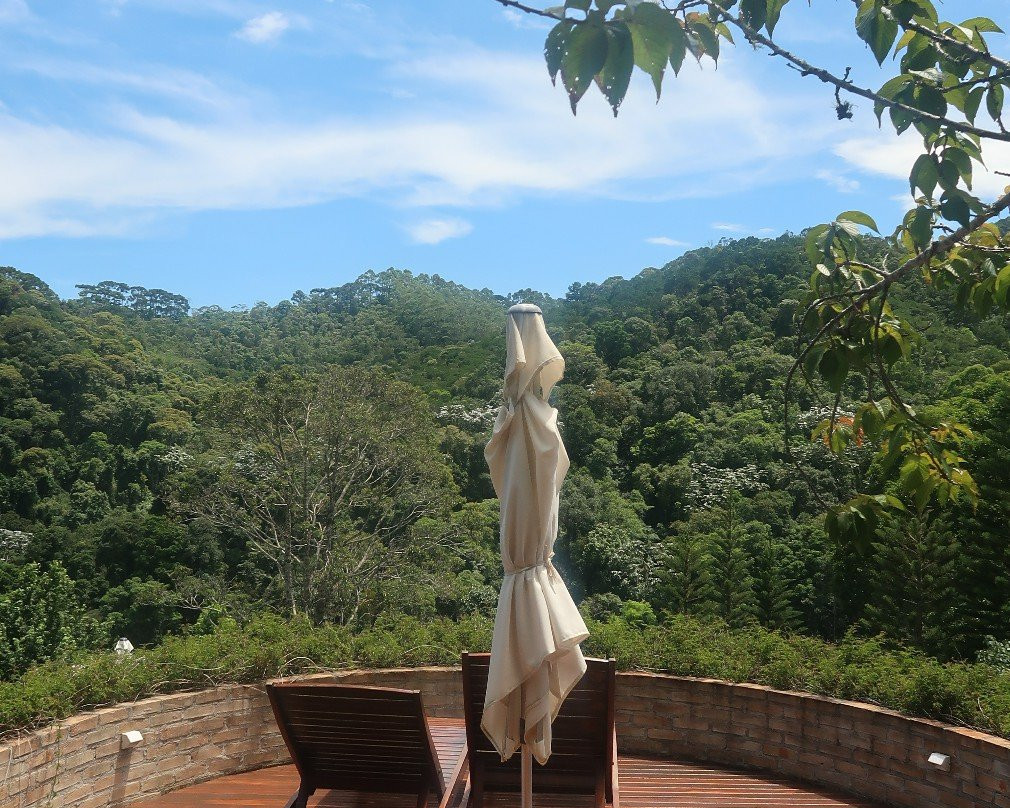 Pousada Do Cedro主图