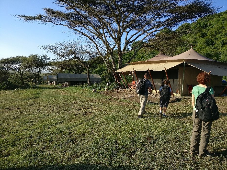 Matembezi Safari Lodge