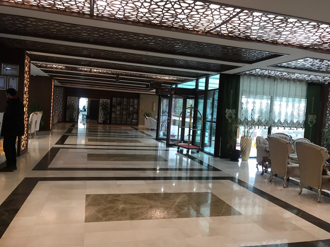 Prestige Thermal Hotel Spa & Wellness主图
