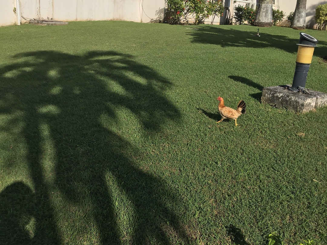 Hotel Village Soleil主图