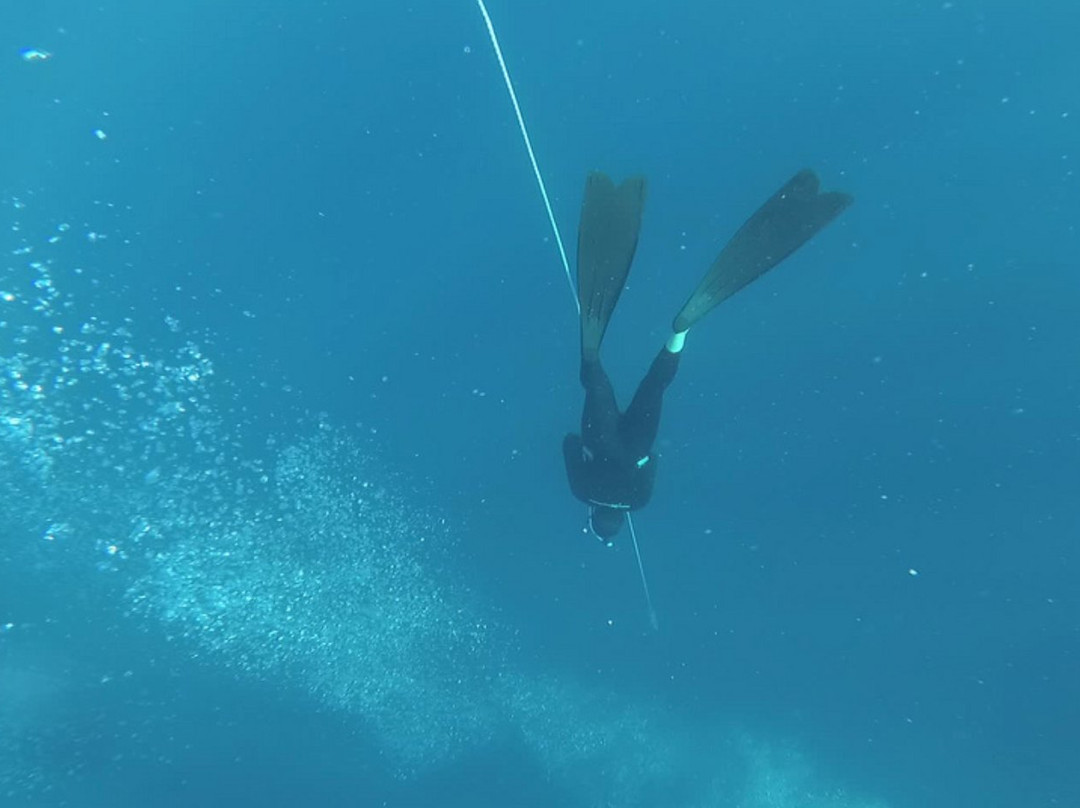 Freedive Dahab-达哈卜必去景点