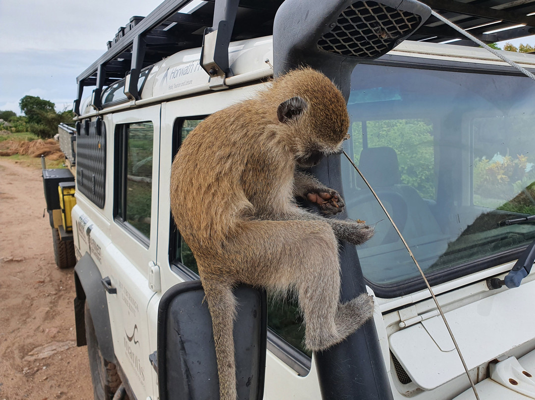 Rumphi餐馆和美食-La Rondavelle restaurant