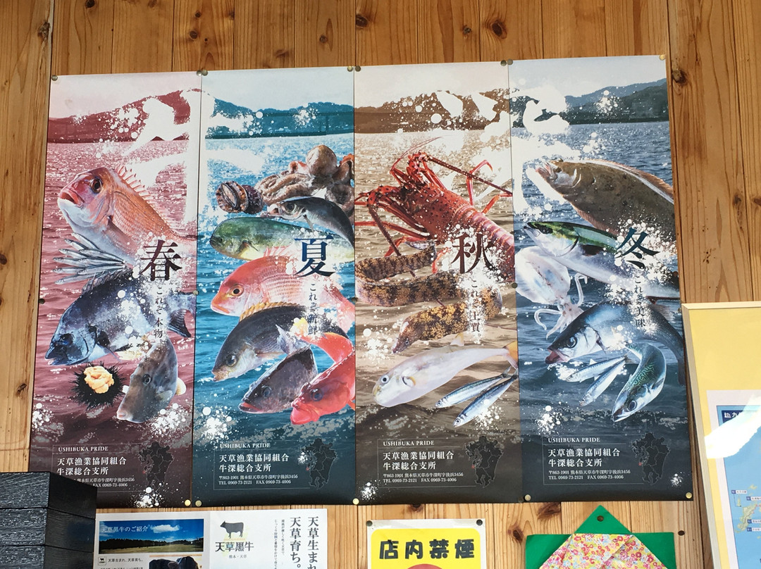 Michi-no-Eki Ushibuka Kaisaikan-天草市必去景点